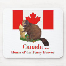 Castor velu tapis de souris