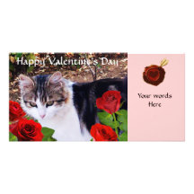 CAT AVEC LES ROSES ROUGES PHOTOCARTE CUSTOMISÉE