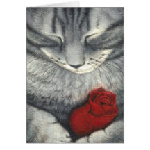 catandrose 001 carte