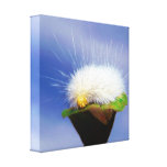 Caterpillar blanc brouillé impressions sur toile