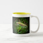 Caterpillar Mugs
