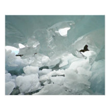 Caverne de glace photos sur toile
