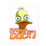 Ce qui le canard ! Carte postale