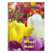 Ce qui maintenant ! les fleurs de tulipe de carnet
