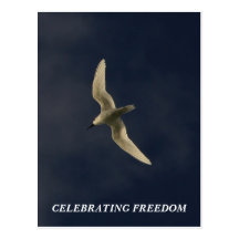 Célébration de la liberté cartes postales