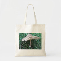 Cendre d'achat champignon avec le chapeau de champ sacs