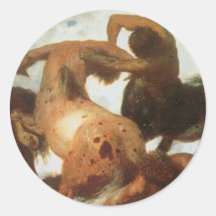 Centaures Adhésif