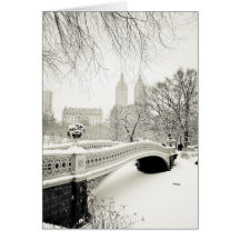Central Park - vacances de New York Carte De Vœux