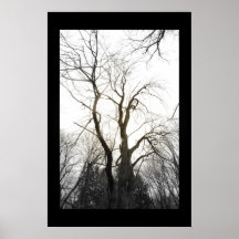 centre d'arbres de sépia posters