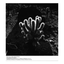 Centre de recherches profond de canyon par Ansel A posters