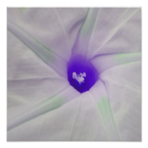 Centre pourpre de fleur impression photographique