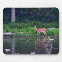 Cerfs communs au lac en bois - Mousepad Tapis De Souris