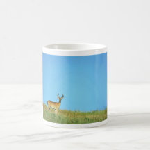 cerfs communs Blanc-coupés la queue Tasse À Café