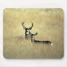 Cerfs communs de mule de la Californie Mousepad Tapis De Souris
