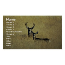 Cerfs communs de mule modèles de cartes de visite
