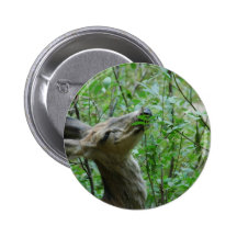 Cerfs communs de ressort pin's avec agrafe