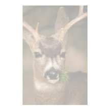 cerfs communs papiers à lettres