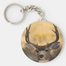 cerfs communs porte-clé