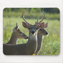 Cerfs communs tapis de souris