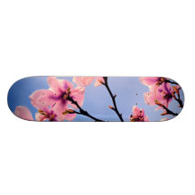 Cerisier fleuri planches à roulettes