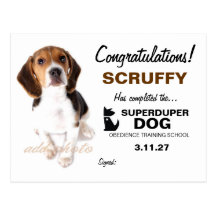 certificat de chien de 311-Super Duper Cartes Postales
