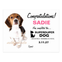 certificat de femelle de chien de 311-Super Duper Cartes Postales