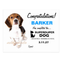 certificat de mâle de chien de 311-Super Duper Cartes Postales