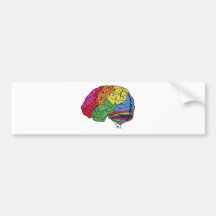 Cerveau d'arc-en-ciel adhésifs pour voiture