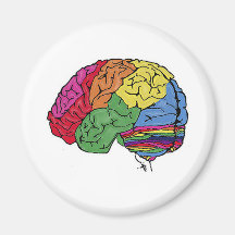 Cerveau d'arc-en-ciel aimant