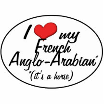 C'est un cheval ! J'aime mon Anglo-Arabe français Photos En Relief