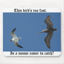 Cet oiseau trop rapide tapis de souris