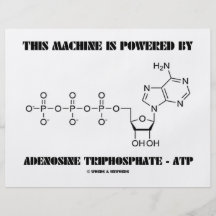 Cette machine est actionnée par l'adénosine tripho prospectus personnalisés