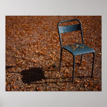 Chaise de jardin posters
