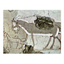 Chambre grave d'une scène inconnue, âne, cartes postales
