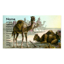 Chameau Arabe Modèle De Carte De Visite