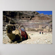 Chameau devant le théâtre romain, Jordanie Poster