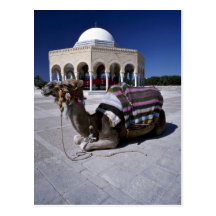 Chameau se reposant devant le dôme, Monastir, Tuni Carte Postale