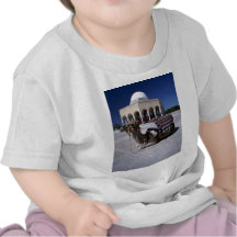 Chameau se reposant devant le dôme, Monastir, Tuni T-shirt