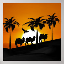 Chameaux de désert au coucher du soleil posters