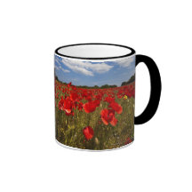 Champ complètement des fleurs rouges mugs