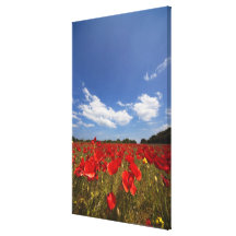 Champ complètement des fleurs rouges impressions sur toile