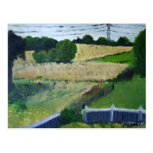 Champ d'Amagansett Carte Postale