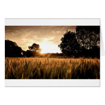CHAMP DE BLÉ CARTES DE VŒUX