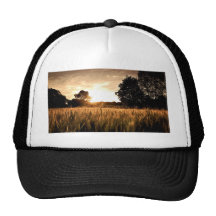 CHAMP DE BLÉ CASQUETTES