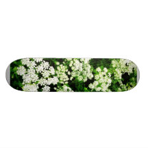 Champ de dentelle de la Reine Anne Skateboard