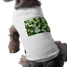 Champ de dentelle de la Reine Anne Tee-shirt Pour Animal Domestique