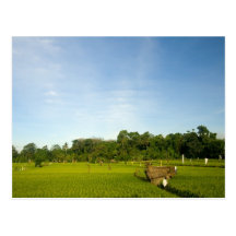 Champ de rizière dans Bali Carte Postale