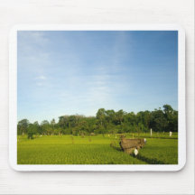 Champ de rizière dans Bali Tapis De Souris