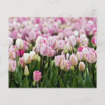 champ de tulipe prospectus personnalisés