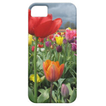Champ de tulipes coques iPhone 5 Case-Mate